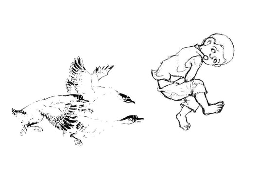 Child startled by geese, capturing a humorous moment of goose territory defense.